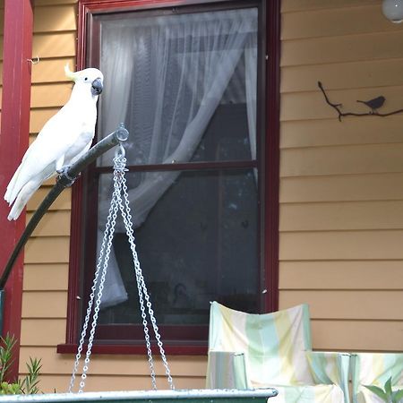 Lemonade Creek Cottages ローン エクステリア 写真