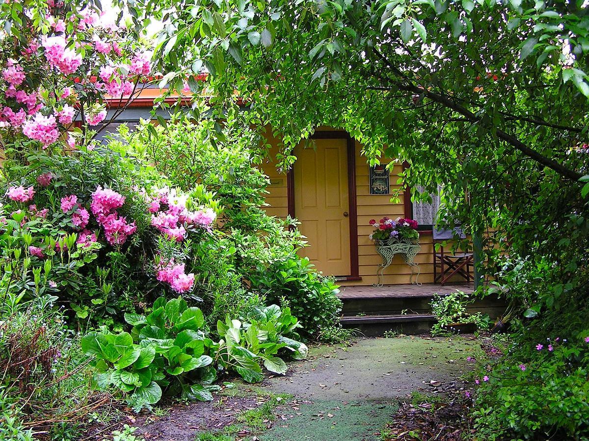 Lemonade Creek Cottages ローン エクステリア 写真
